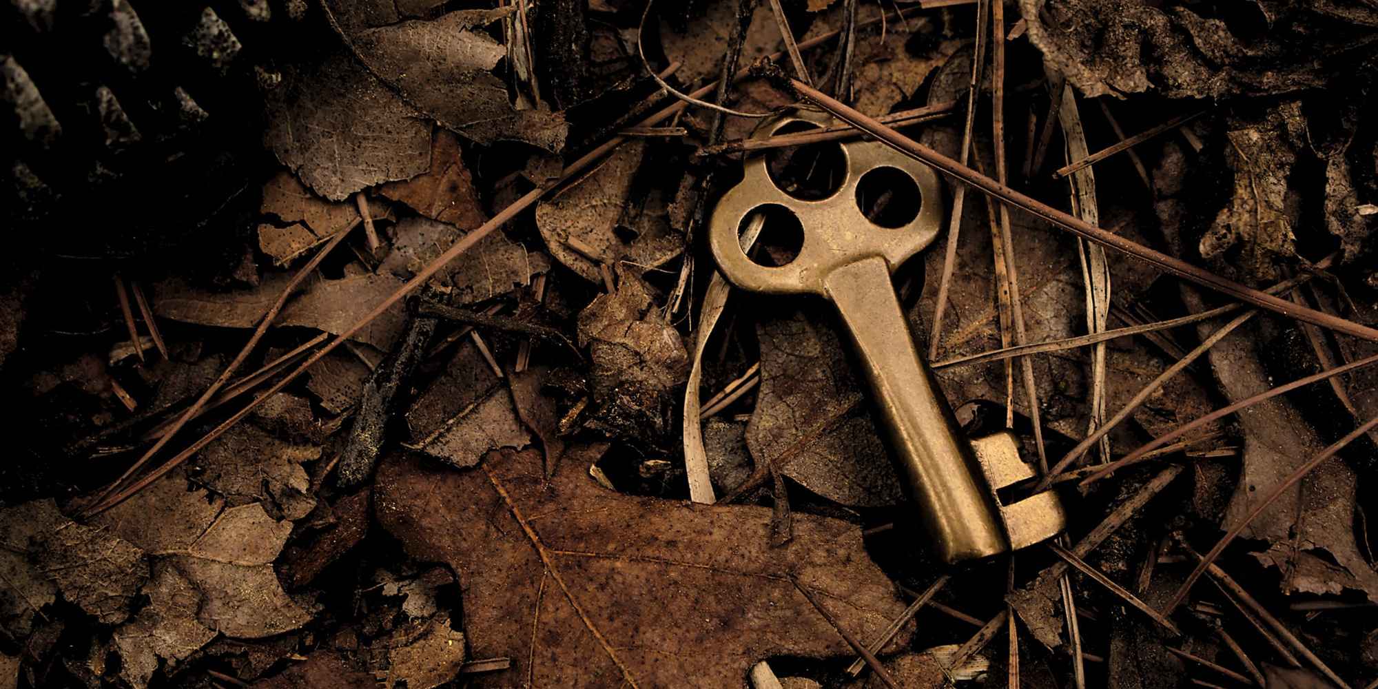 Key lost in a forest of soil and leaves