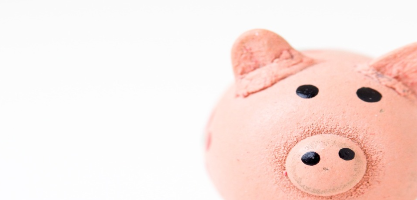 little pink piggybank in a white background