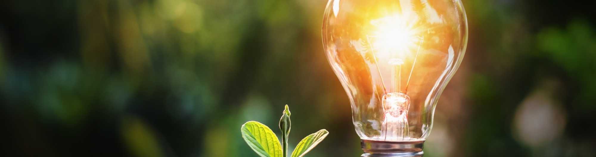  Webinar Replay: Sustainability in outbound mail - roadmap for SMEs