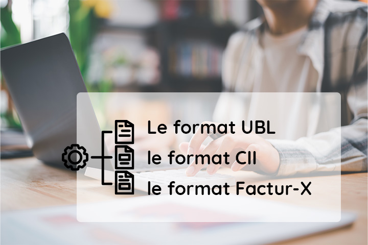     Les formats de facture acceptes image 