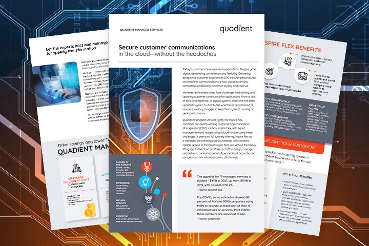 Thumbnail of Inspire QMS Brochure against cyber security background