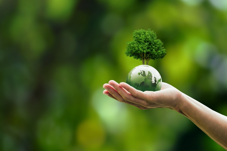 hand holding a globe with tree on top