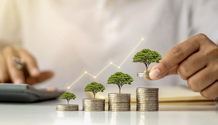 coins creating a rising graph chart