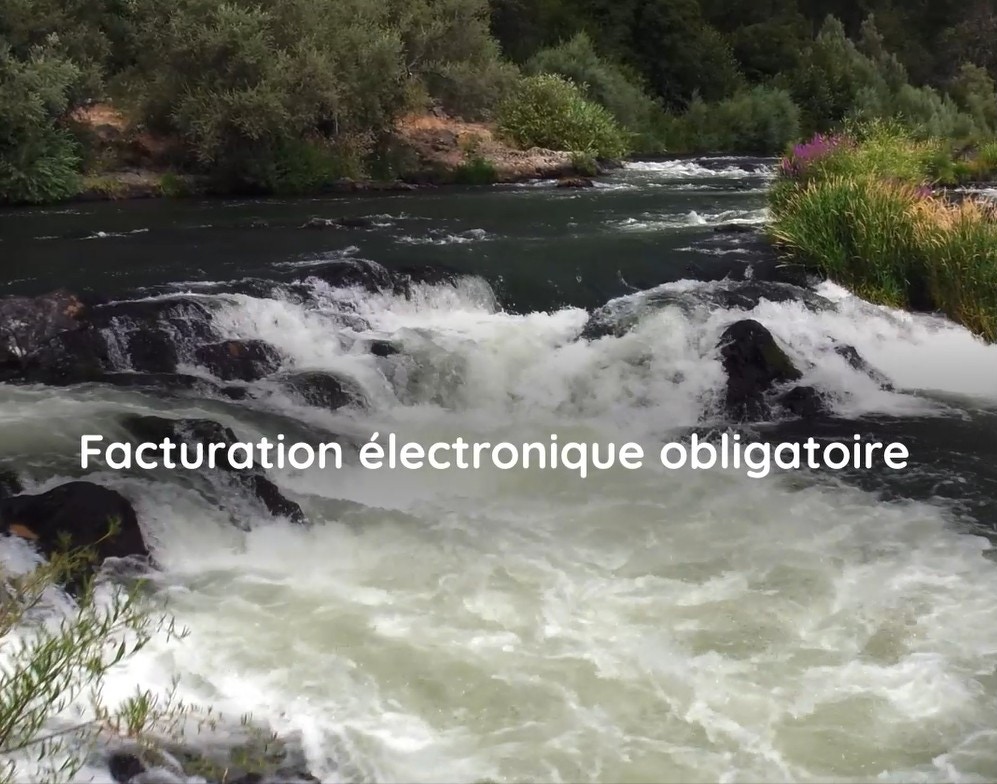 Le choix du bon partenaire pour la réforme de la facturation électronique