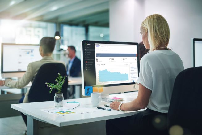 image of person using computer looking at spreadsheets