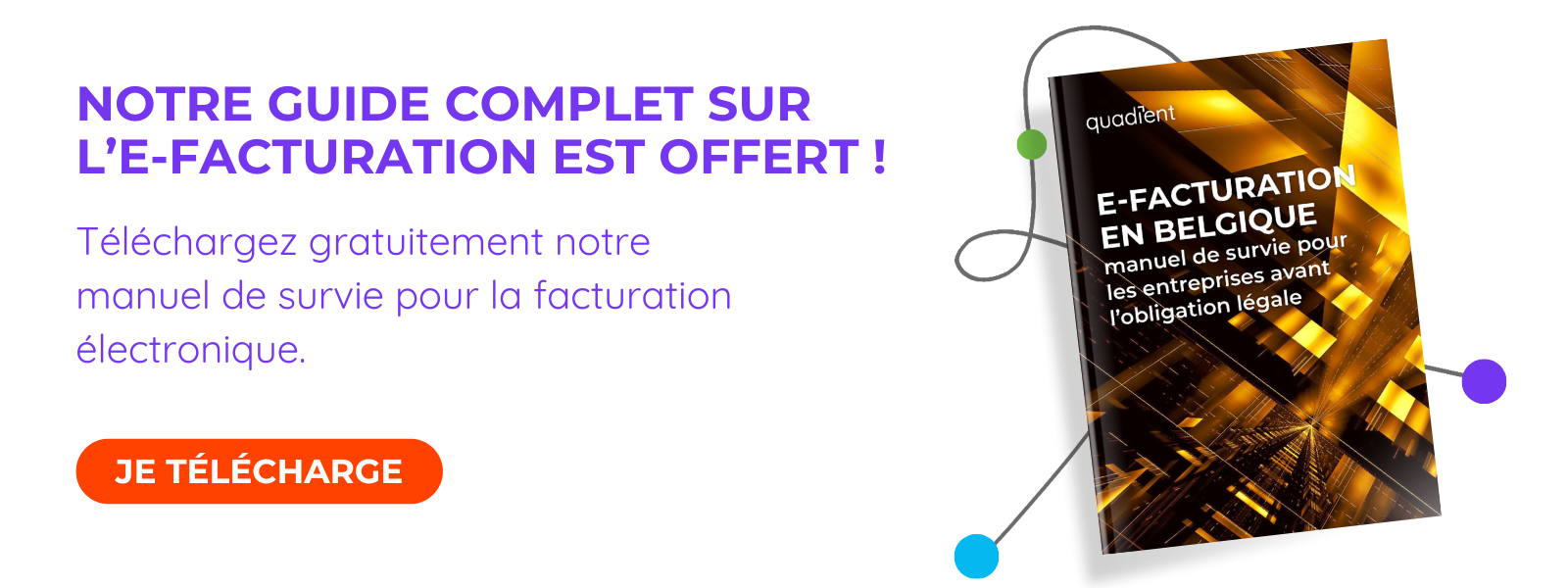 guide complet einvoicing belgique