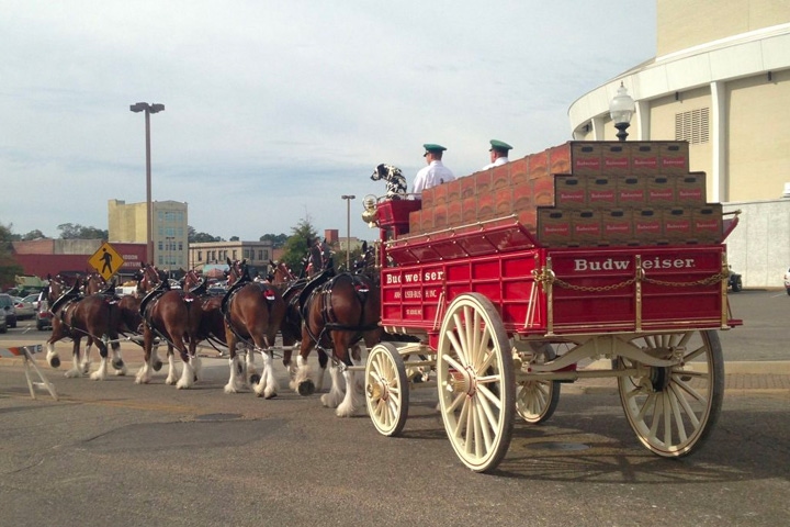 Adams beverages delivery