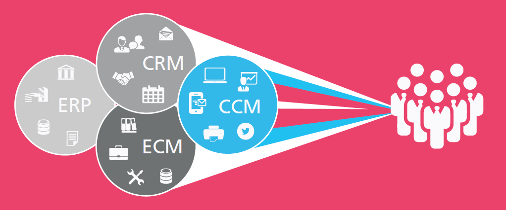crm ccm erp ecm graphic